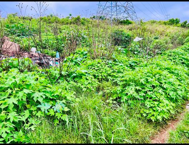 LAND FOR SALE IN KWAMASHU